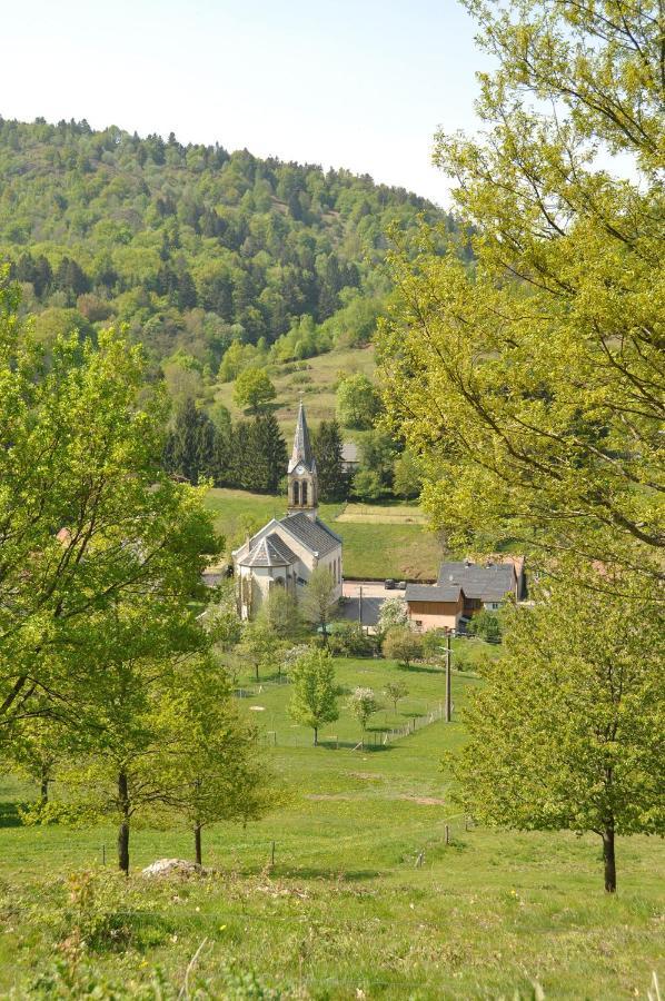 Appartement A Mitzach Екстер'єр фото